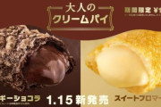 【画像】マクドナルドさん、「大人のクリームパイ」を直訳して英語圏を困惑させてしまうｗｗｗｗ