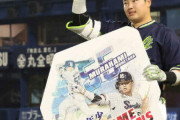 村上宗隆(22) .328 47本 115打点 出.464 長.736 OPS1.200