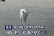 【悲報】ネッコ、逮捕される