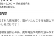 【炎上】タイミー「深夜に猫を探す高収入バイトです」  X民「猫って隠語で”高級車”のことだぞ…？」→ 闇バイト確定、削除して逃亡