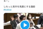 蓮舫「このままだと高卒みたいな可哀想な人達が安部のせいで増える」
