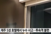 【韓国】昨年12月オープンの済州島5つ星ホテル、客室天井から水漏れで宿泊客避難｢窓から水がザーザー、床にはすでに水溜まり｣[10/22]  [新種のホケモン★]