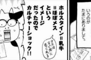 記者「ハガレンの作者が女性だったとは」荒川弘「自画像がホルスタインだから女に決まってるだろ」