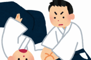 合気道は果たして実戦で使えるものなのか聞いた結果ｗｗｗｗｗ