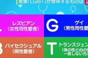 ワイにはLGBTを絶対に認めないという「個性」があるんやが