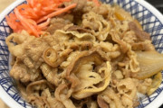 【画像】今日行った牛丼屋でワイがのせた紅生姜の量ｗｗｗｗｗｗｗｗｗｗｗ