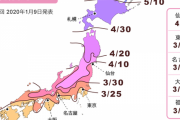 海外「2020年の日本の桜開花予報が発表されたぞ！」日本の桜開花時期に対する海外の反応