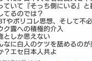 愛国者「白人の考えを絶対とし、それを武器に日本下げをしている連中に心底反吐が出る」4.6万いいね