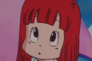 ドラゴンボールのスノが可愛いと思うんだけどなんでおまえらはマイとかランファンなの？