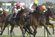 【競馬】ミッキークイーン、宝塚記念回避して休養へ
