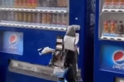 【悲報】自動販売機、襲撃され始める。外国みたいになってきてて草ｗｗｗｗ
