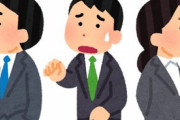 【どうしたらいいの】新入社員俺「先輩の邪魔になるからとりあえず見とこう！」→先輩→上司の衝撃発言