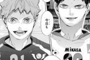 【ハイキュー】って終わってみれば良いスポーツ漫画だったな