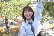 【乃木坂46】岩本蓮加、りんごもぎ取りでお腹がチラ見え