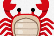 海水浴でハマグリを足で探しているとハマグリじゃなくガザミが埋まっていて足の指で掴むと挟まれるよな
