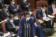 【朗報】安部首相、全“世帯”に布マスクを2枚ずつ配布すると表明