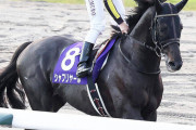 【天皇賞・秋は叩きで5着】シャフリヤール　次走はジャパンC