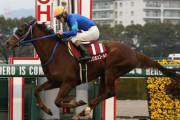 アフリカンゴールドが引退　阪神競馬場で乗馬に