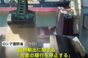 ロシア､黒海経由でのウクライナ産穀物輸出合意を無期限停止　また小麦の価格が上がるかも