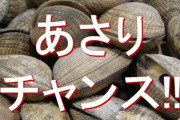 アサリと唐辛子をオリーブオイルで炒めてスパゲティに絡めると美味しそうじゃね？