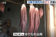 タコ「懐くし、何でも食います。その辺で捕まえられるし最悪食えます。」←ペットにされない理由ｗｗｗ