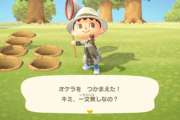 『あつまれ どうぶつの森』の住民自慢しようぜ