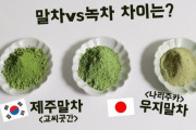 韓国人「韓国抹茶は濃い緑色で栄養素が多い、日本の抹茶は色が悪くて、栄養素が少なく渋くて不味い」　韓国の反応