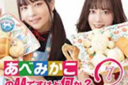 【お前ら急げ！！】ガチ本物の「あべみかこ」が20万円でレンタル出来る模様