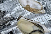 牡蠣食いてえｗｗｗｗｗｗｗｗｗｗｗ