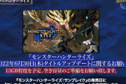 【MHRise】13GBの空き容量が必要ってかなり大きいよな【モンハンライズ：サンブレイク】