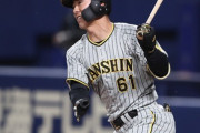 阪神・豊田（打率.308 OPS.718）←この逸材を使わずに1点差ゲームを落とした理由