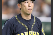 【悲報】矢野監督、シナシナになる