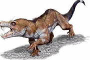 【画像あり】これが２３０万年前のリスの姿だ！