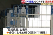 中国人「日本産のウナギ、中国産だった…」　中国の反応