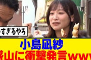 [櫻坂46]小島凪紗、「頸動脈を…」見取り図盛山に恐ろしすぎる発言をしてしまうｗ