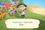 【あつまれどうぶつの森】やっと桜レシピ終わった…　次は竹か貝殻か…