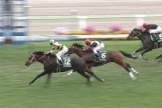 【競馬】三浦のガッツポーズクソワロタｗｗｗｗｗｗｗｗ