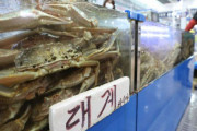 韓国でロシア産のカニが人気！制裁で取引が激減し安値で韓国に流入