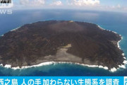 西之島「火山活動でどんどん大きくなるで！」？？「！？」ｶｻｶｻｶｻｶｻｶｻ