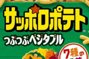 「サッポロポテト」とかいう買うタイミングが分からない菓子ｗｗｗｗ
