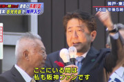 【悲報】安倍晋三が首相に就任するとセリーグが日本一になれないｗｗｗｗｗｗｗ