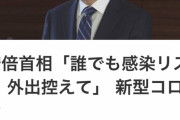 安倍首相、激おこ「外に出んじゃねぇっつてんだろが」　お前らどうする？