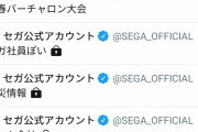 【悲報】セガ公式さん、Twitterの非公開リストが流出して社員のTwitterを監視していることがバレるｗｗｗｗｗｗ