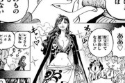 ワンピースさん「シャッキーはロジャーや白ひげを魅了する絶世の美女です」