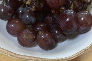 ぶどう美味すぎて草
