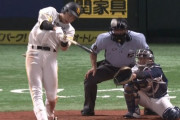 野球見てて絶叫したホームランwww