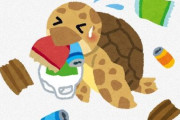 「ウミガメが海に漂うポリ袋を食べて死んでる」　←デマだった