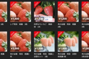 高級イチゴ｢桃薫｣の苗をフリマアプリで無許可販売 2人逮捕･10人書類送検｢一攫千金狙った｣