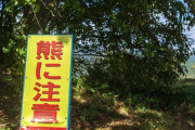 山形県「もう人里に下りてくるんじゃないぞ」クマ「はい…」→秋田県の人里で捕獲され駆除へ