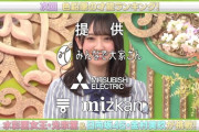 【日向坂46】金村美玖、2回目のプレバト出演ｷﾀ━(ﾟ∀ﾟ)━!!!!